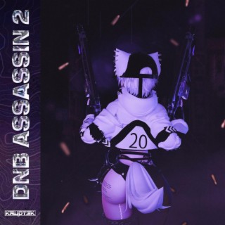 DnB Assassin 2