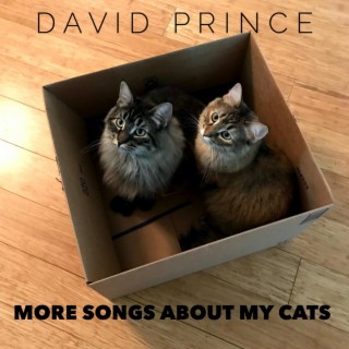 More Songs About My Cats