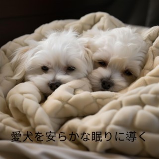 愛犬を安らかな眠りに導く：安らかな犬のための就寝時のメロディー