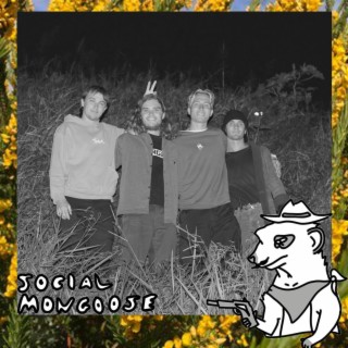 Social Mongoose