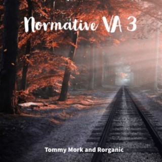 Normative VA 3