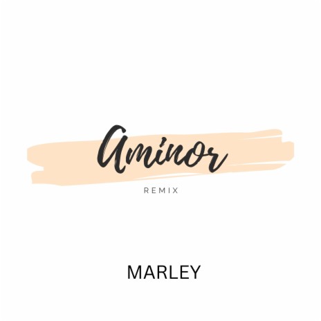Aminor (Remix) | Boomplay Music