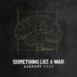 Something Like a War lyrics | Boomplay Music