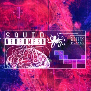 Squid Neuromesh