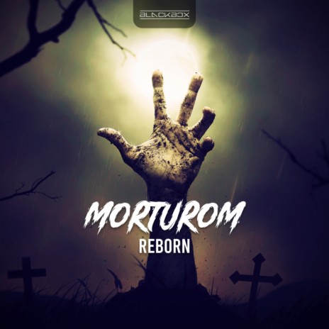 Reborn (Original Mix) | Boomplay Music