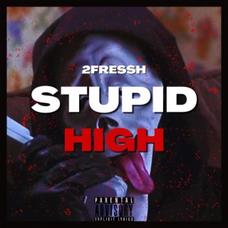 Stupid High