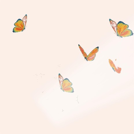 蝴蝶(Butterfly) | Boomplay Music