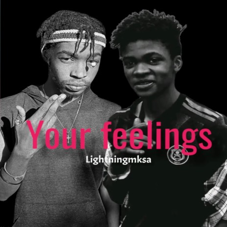 Your feelings