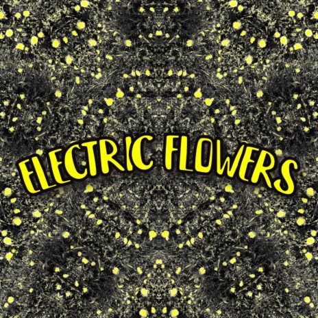 Electric Flowers | Boomplay Music