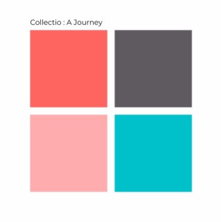 Collectio : A Journey