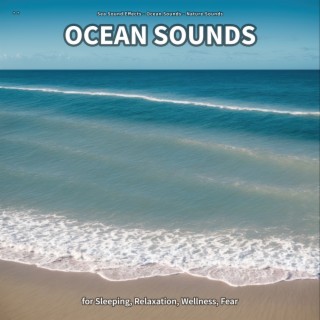 ** Ocean Sounds for Sleeping, Relaxation, Wellness, Fear