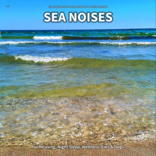 ** Sea Noises for Relaxing, Night Sleep, Wellness, Cats & Dogs