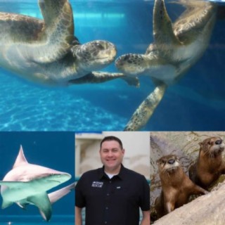 Jesse Gilbert - Texas State Aquarium Wildlife Rescue Center