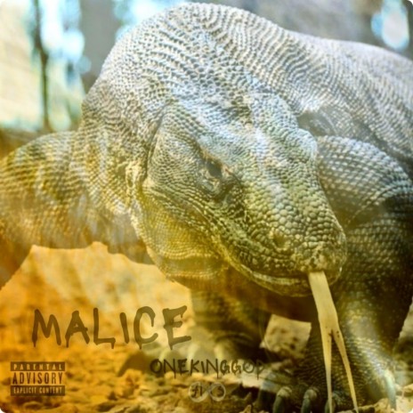 Malice | Boomplay Music