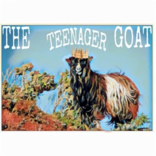 The Teenager Goat