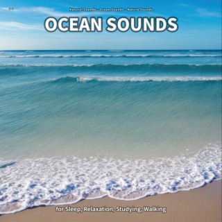 ** Ocean Sounds for Sleep, Relaxation, Studying, Walking