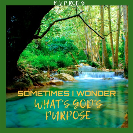 Sometimes I Wonder What's God's Purpose | Boomplay Music