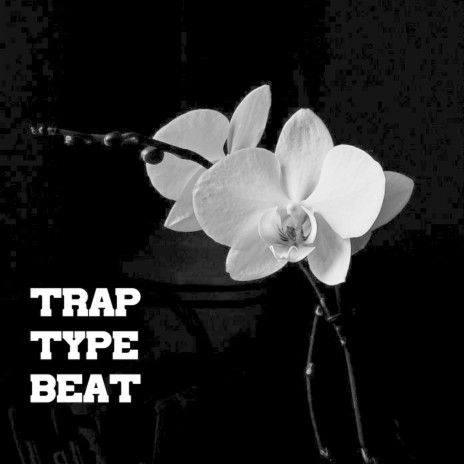 instrumental trap type beat (Flexin' & Flossin)