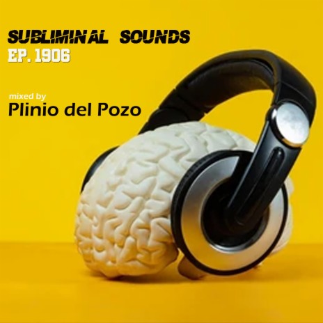 Plinio del Pozo @ Subliminal Sounds Ep. (Continuous Dj Mix)