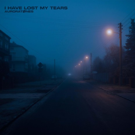 i have lost my tears | Boomplay Music