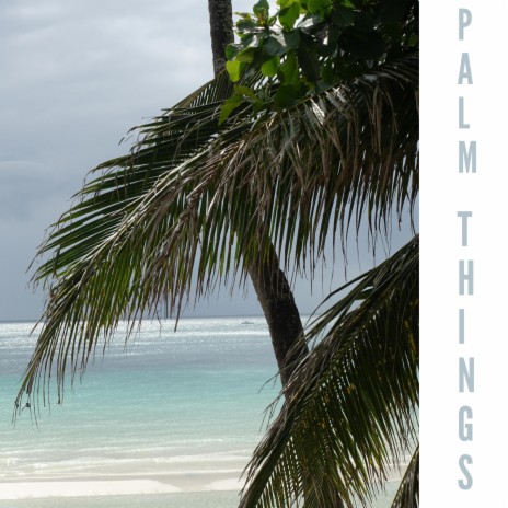 Palm Things | Boomplay Music