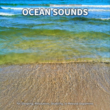 Ocean Sounds, Part 38 ft. Ocean Sounds & Nature Sounds
