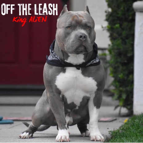 Off The Leash (violence)