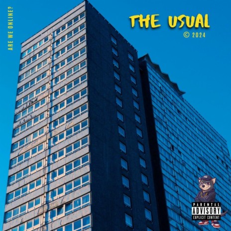 The Usual | Boomplay Music