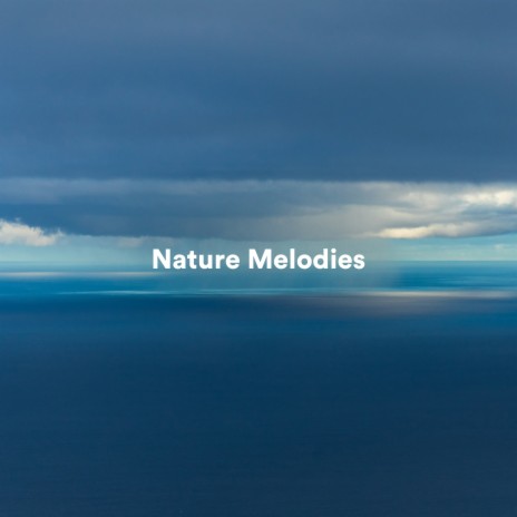 The Sky Is the Limit ft. Naturgeräusche & La Naturaleza del Sueño