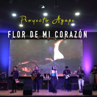 FLOR DE MI CORAZON lyrics | Boomplay Music