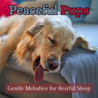 Peaceful Pups: Gentle Melodies for Restful Sleep