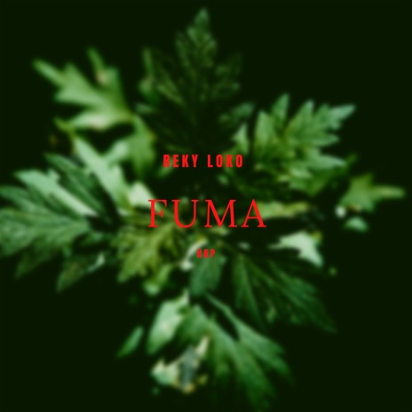 Fuma | Boomplay Music