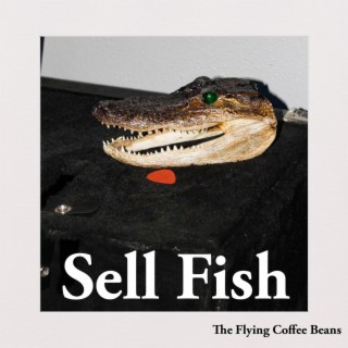 Sell Fish lyrics | Boomplay Music