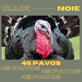 45 pavos