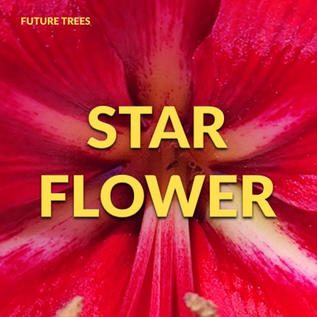 Starflower | Boomplay Music