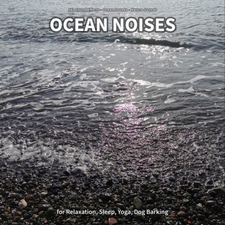 Ocean Noises, Part 3 ft. Ocean Sounds & Nature Sounds