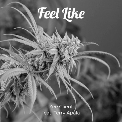 Feel Like ft. Terry Apala | Boomplay Music