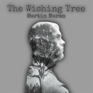 The Wishing Tree lyrics | Boomplay Music