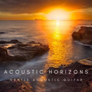 Acoustic Horizons