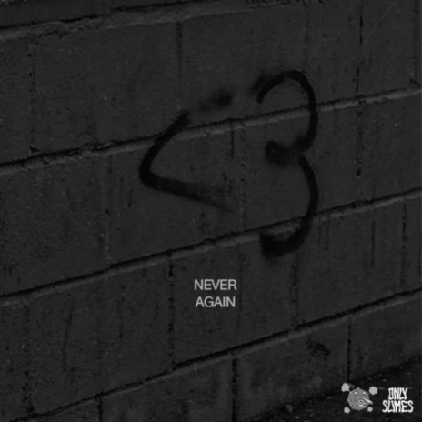 Never Again ft. Baby Waver | Boomplay Music