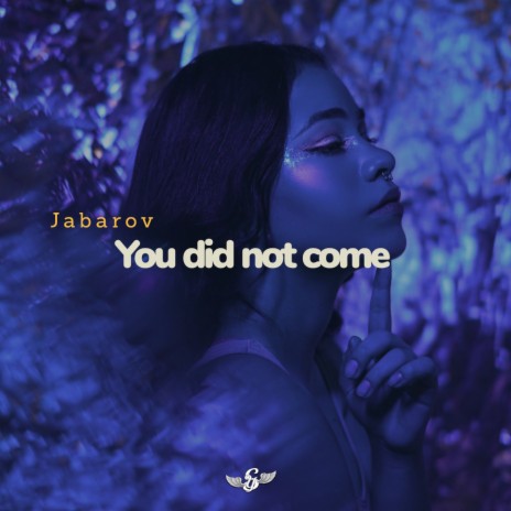You did not come | Boomplay Music
