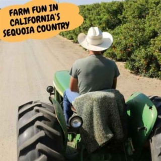 Farm Fun in California’s Sequoia Country