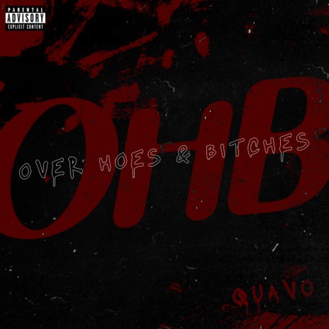 Over Hoes & Bitches (OHB) | Boomplay Music