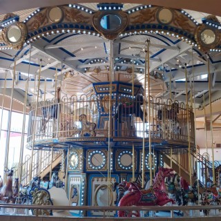 On a Carousel Ride