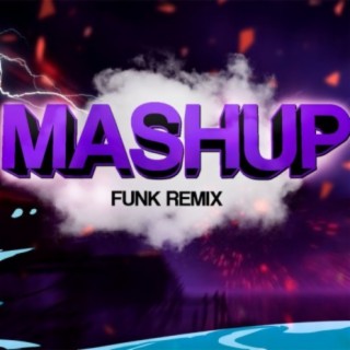 MASHUP HAVAIANO (FUNK REMIX)