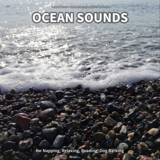 ** Ocean Sounds for Napping, Relaxing, Reading, Dog Barking