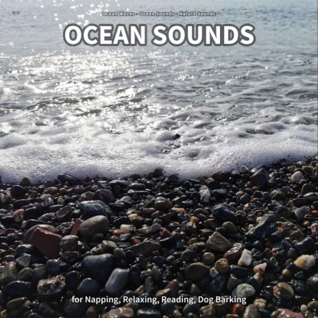 Ocean Sounds, Part 79 ft. Ocean Sounds & Nature Sounds
