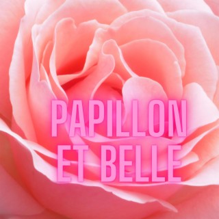 Papillon et belle