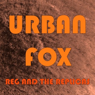 Urban Fox