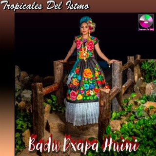 Badu Dxapa Huini